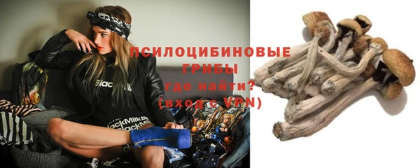 тгк Покровск