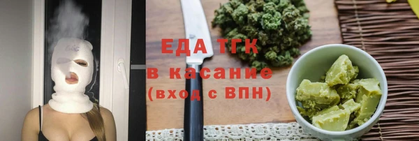 индика Протвино